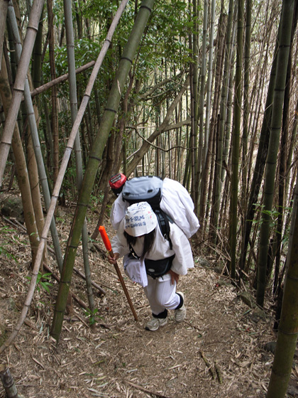 3月10日 春遍路 第5日目~山、また山_c0049299_1154578.jpg