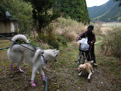 3月10日 春遍路 第5日目~山、また山_c0049299_11552554.jpg