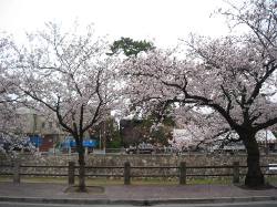 今しか出来ないこと・・・・。_d0091909_19345029.jpg