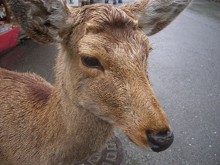 f0079111_10371772.jpg