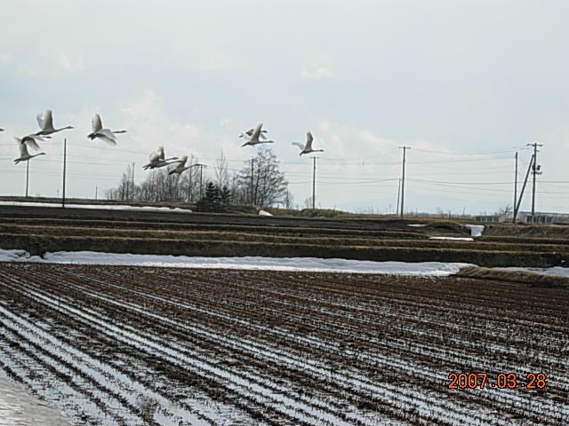 a0089814_17493629.jpg