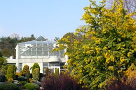 e0083517_18341.jpg