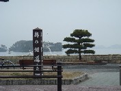 春めいてる今日この頃に写真をアップ_e0066139_211479.jpg