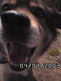 e0080641_02246.jpg
