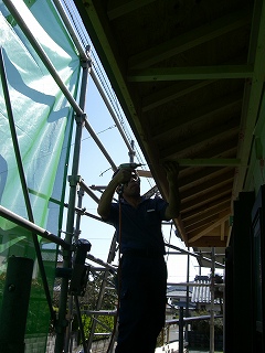 b0082242_21173611.jpg