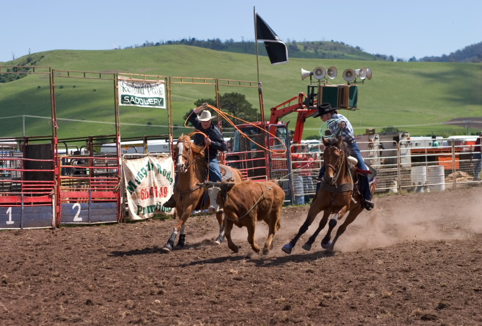 Melton Mowbray Rodeo - 女たち 　Jillaroo_f0137354_7304790.jpg