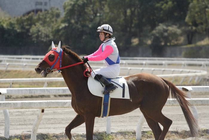 2007年3月21日(水) 高知競馬 3R パドック_a0077663_18334392.jpg