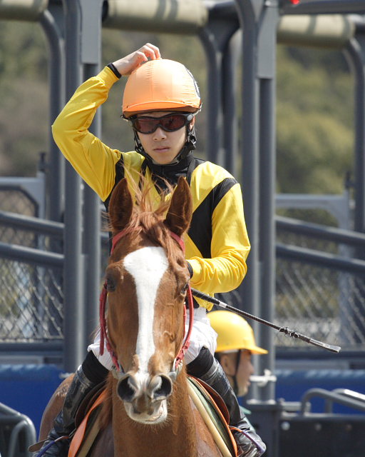 2007年3月21日(水) 高知競馬 3R パドック_a0077663_18335433.jpg