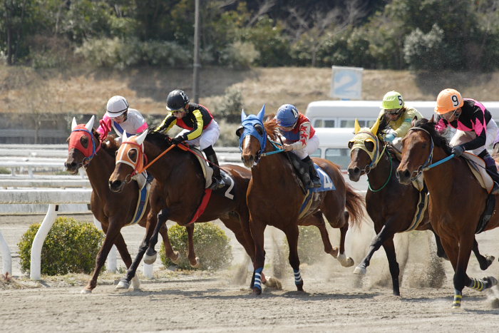 2007年3月21日（水） 高知競馬 3R レース_a0077663_18533151.jpg