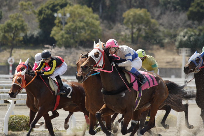 2007年3月21日（水） 高知競馬 3R レース_a0077663_18534028.jpg