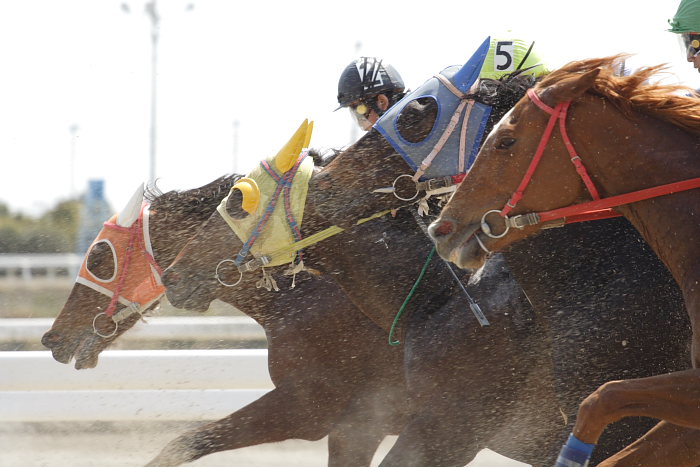 2007年3月21日（水） 高知競馬 3R レース_a0077663_18534980.jpg