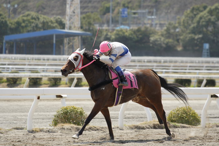 2007年3月21日(水) 高知競馬 3R レース_a0077663_18541140.jpg