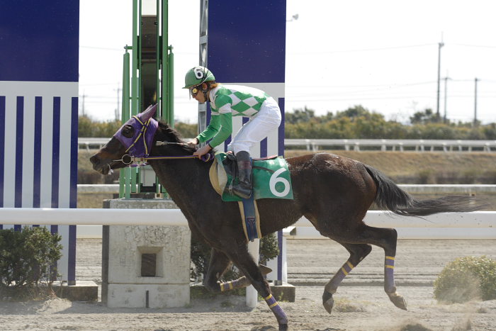 2007年3月21日（水） 高知競馬 3R レース_a0077663_18542186.jpg