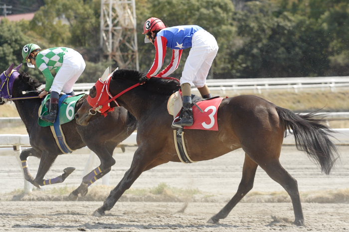 2007年3月21日（水） 高知競馬 3R レース_a0077663_18543183.jpg