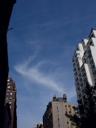 c0092467_13141640.jpg