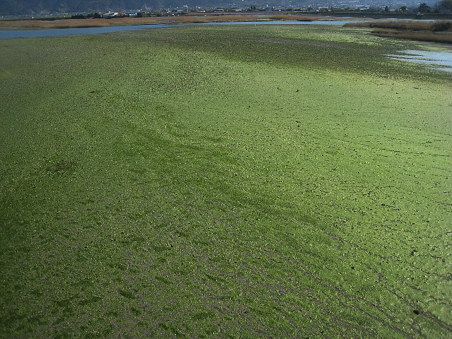 f0127675_293590.jpg