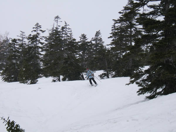 d0079579_1220133.jpg