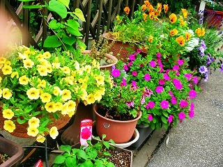 c0078480_19363862.jpg