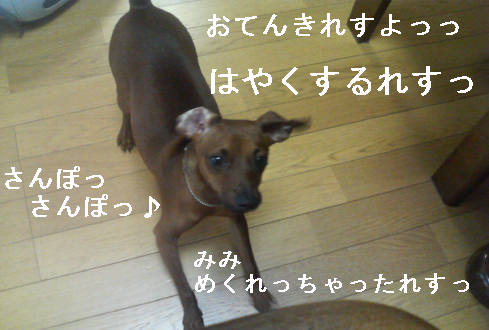 f0123589_1531412.jpg