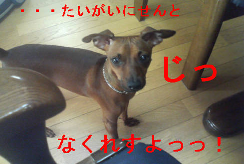 f0123589_15315891.jpg