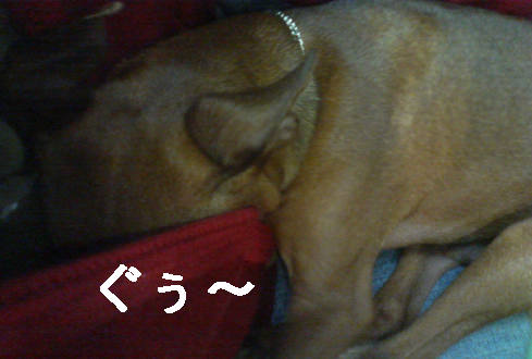f0123589_15554889.jpg