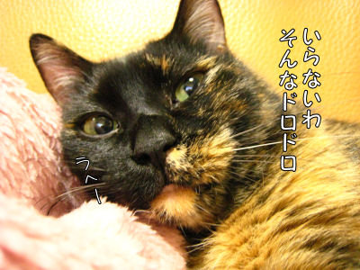a0045990_01723.jpg