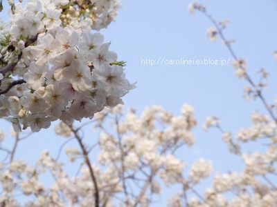 時は春、手しごとも春_d0025294_1961330.jpg