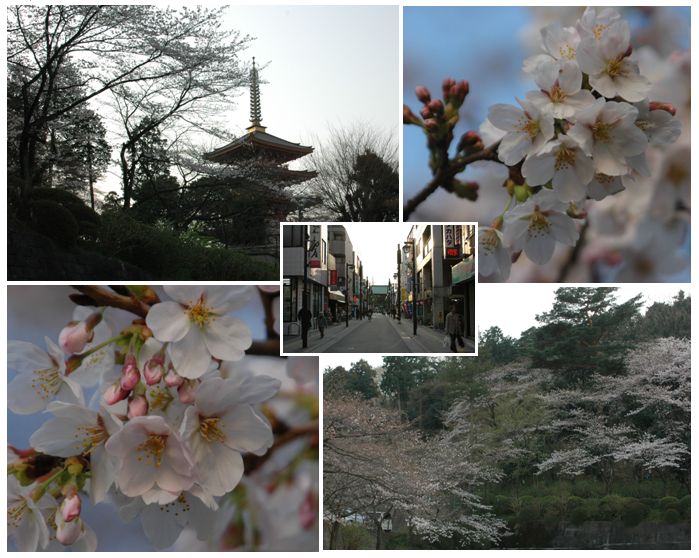 サイクリング 新しくなった高幡不動駅_c0051105_6483325.jpg