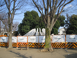 中央公園のさくら_d0080906_9284442.jpg