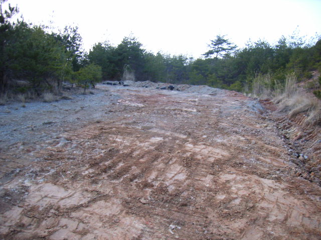 d0086319_13295586.jpg