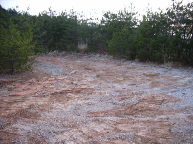 d0086319_13305942.jpg