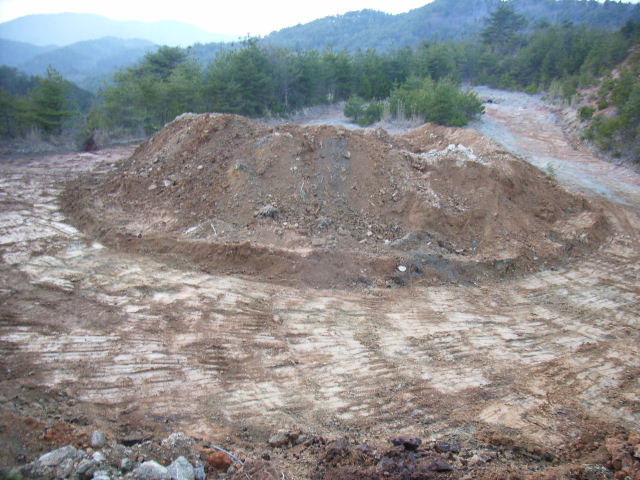 d0086319_13333083.jpg