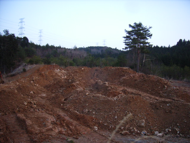 d0086319_13385783.jpg