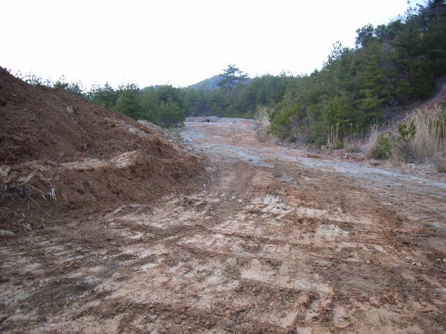 d0086319_13513428.jpg