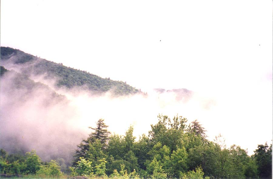 Great Smoky Mountains National Park_a0097322_744495.jpg