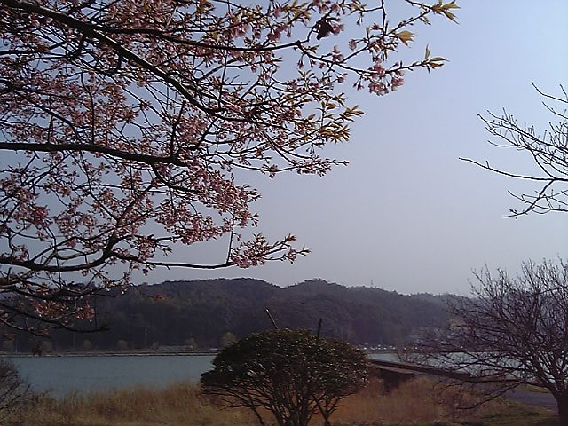 天気も良かったので_f0012525_2582013.jpg