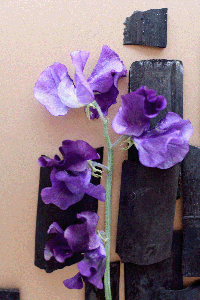 f0134642_13411540.gif