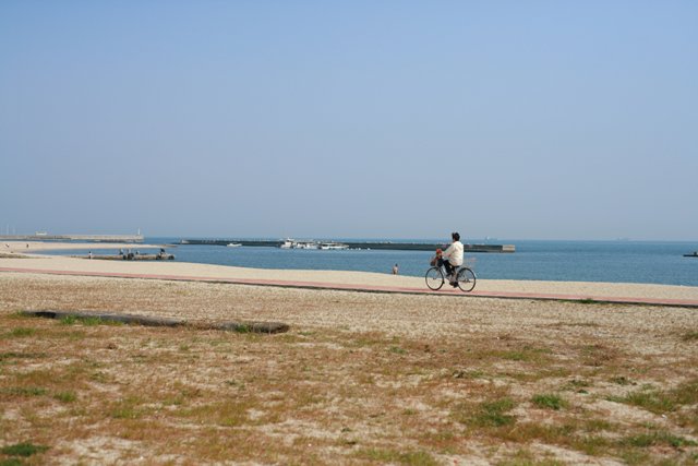 d0001745_8302179.jpg