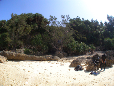 d0065247_075543.jpg