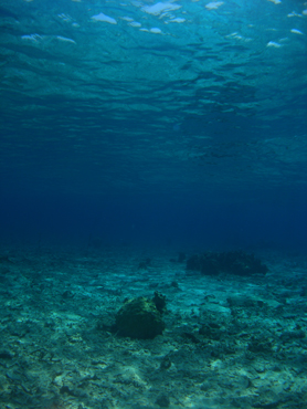 d0065247_083057.jpg