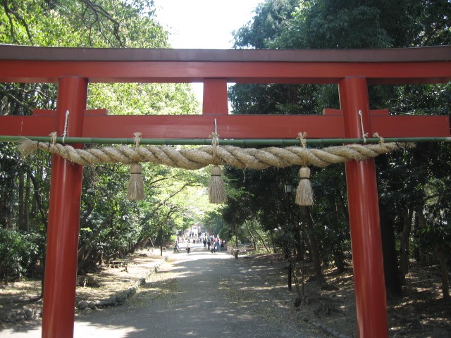 【鶴岡八幡宮・源氏池のソメイヨシノ】_b0009849_16493719.jpg