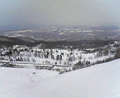 b0080053_20345281.jpg