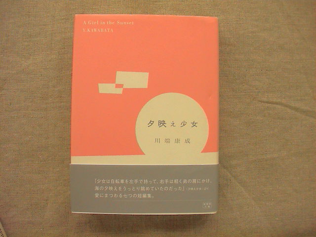 新着本のご紹介。_e0060555_14365483.jpg