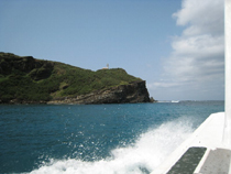 2007年3月28日 西崎日和♪_d0113459_953155.jpg