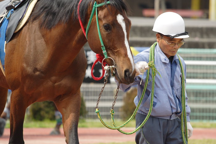 2007年3月25日(日) 高知競馬 3R_a0077663_18382774.jpg