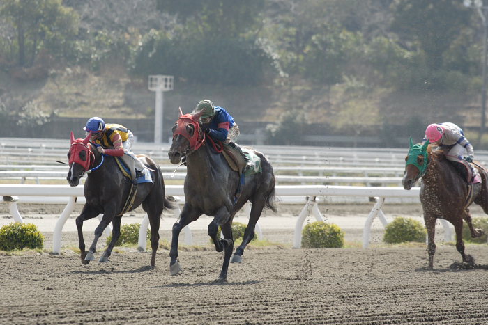 2007年3月25日(日) 高知競馬 6R 頑張れみどりさん特別_a0077663_18493162.jpg