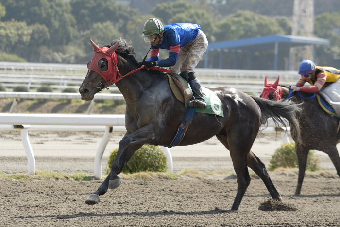 2007年3月25日(日) 高知競馬 6R 頑張れみどりさん特別_a0077663_18494083.jpg
