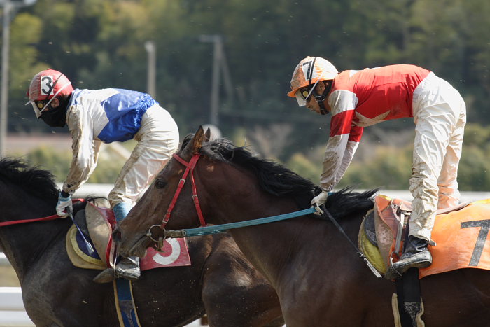 2007年3月25日(日) 高知競馬 6R 頑張れみどりさん特別_a0077663_18494850.jpg