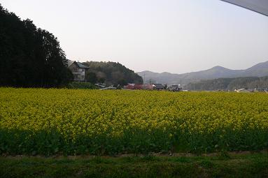 熊越公園 ＆ 正助ふるさと村（福岡県宗像市）_c0099967_2462016.jpg