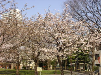 c0019880_8565534.jpg
